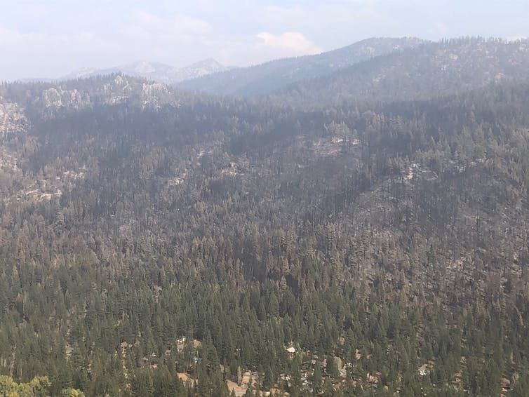 Caldor Fire